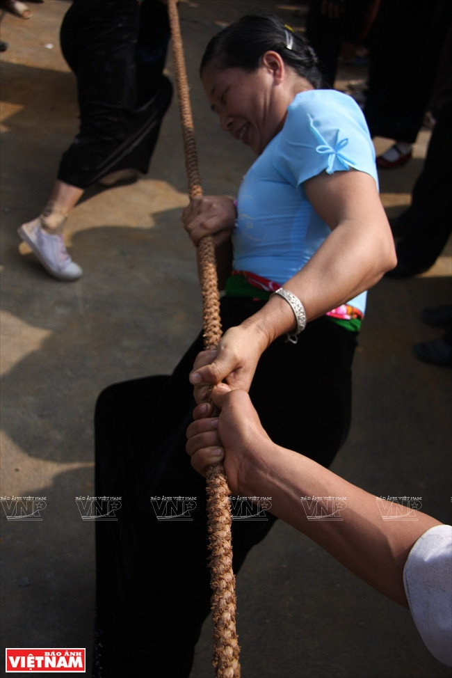 De acuerdo con antiguos libros, el juego de la soga fue practicado por el grupo Thai por primera vez en el siglo XX, cuando explotaban enormes campos en áreas del noroeste como Muong Thanh (Dien Bien) y Muong Than (Lai Chau) (Fuente: VNA)