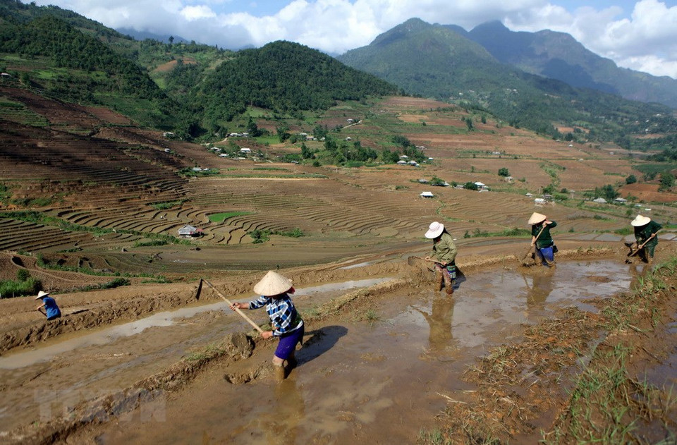 Los campesinos preparan el terreno para la siembra