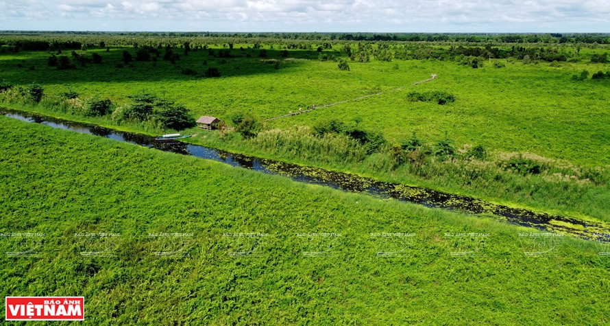 El Parque Nacional U Minh Thuong posee una vasta riqueza en su flora y fauna (Foto: VNA)