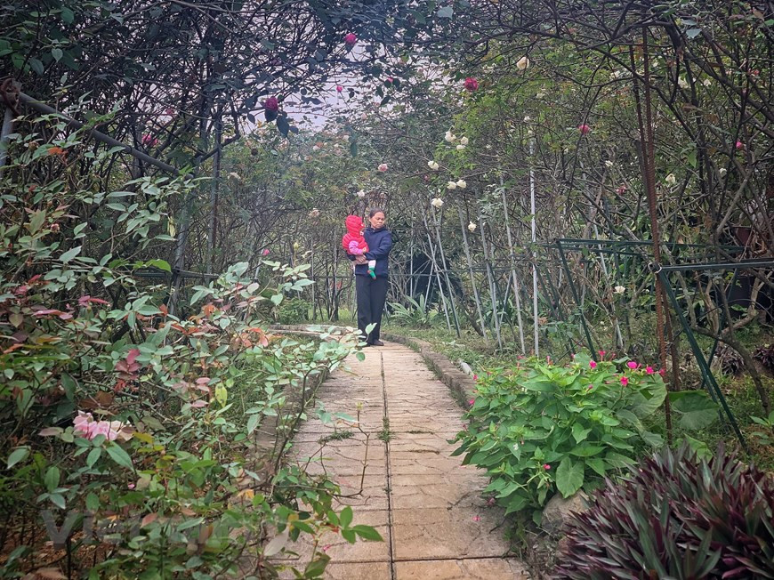 La atmósfera apacible en el jardín. (Foto: VNA)