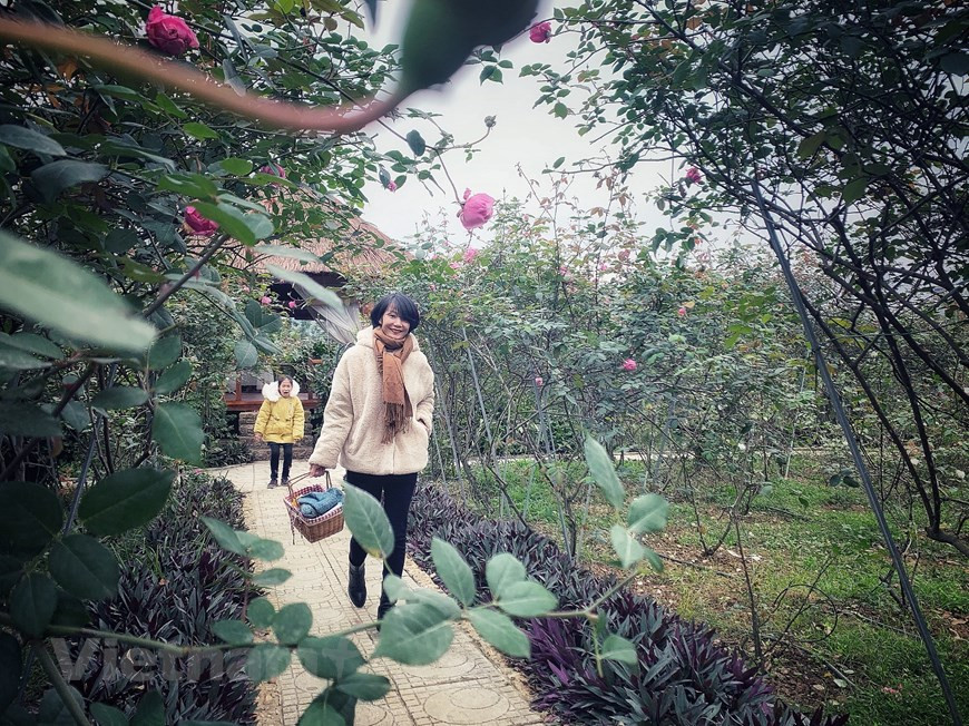 La compañía cumple con los estándares del Departamento de Agricultura de Estados Unidos y de Cosmético Orgánico Natural (COSMOS). (Foto: VNA)