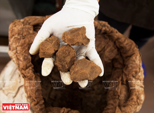 Cacao para producirlo en polvo y diferentes productos de chocolate. 