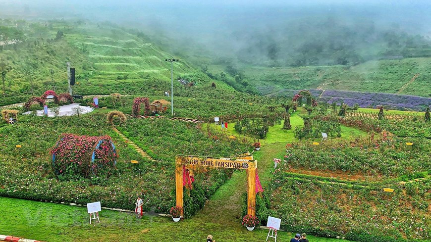 El valle de rosas ubicado en la zona turística de Sun World Fansipan Legend, en el distrito montañoso de Sapa, de la provincia norteña de Lao Cai, fue reconocido como el más grande en Vietnam por la organización de Récord Guinness Vietnam. Esta obra cubre un área de hasta 50 mil metros cuadrados y se extiende a lo largo de la línea ferroviaria de montaña Muong Hoa que parte del pueblo de Sa Pa hacia la estación del teleférico del lugar. Aquí se cultivan alrededor de 300 mil rosales de más de 150 variedades más conocidas de esta planta en Vietnam y en el mundo. (Fuente: Vietnam+)