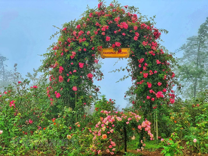 Según la historia, Sapa se llamaba originalmente Hung Ho, que significa corriente de agua roja. Los colonialistas franceses invadieron la provincia de Lao Cai en marzo de 1886, y ocuparon Sapa en noviembre de ese año. Después de la conquista, reconocieron el maravilloso clima de esa tierra, y se concentraron en construir y convertir a Hung Ho en un centro turístico ideal para las vacaciones durante los calurosos meses de verano. El paisaje natural de Sapa se combina armónicamente con el toque creativo de los humanos, la topografía de las montañas y el color verde de los bosques, creando un panorama poético atractivo. (Fuente: Vietnam+)