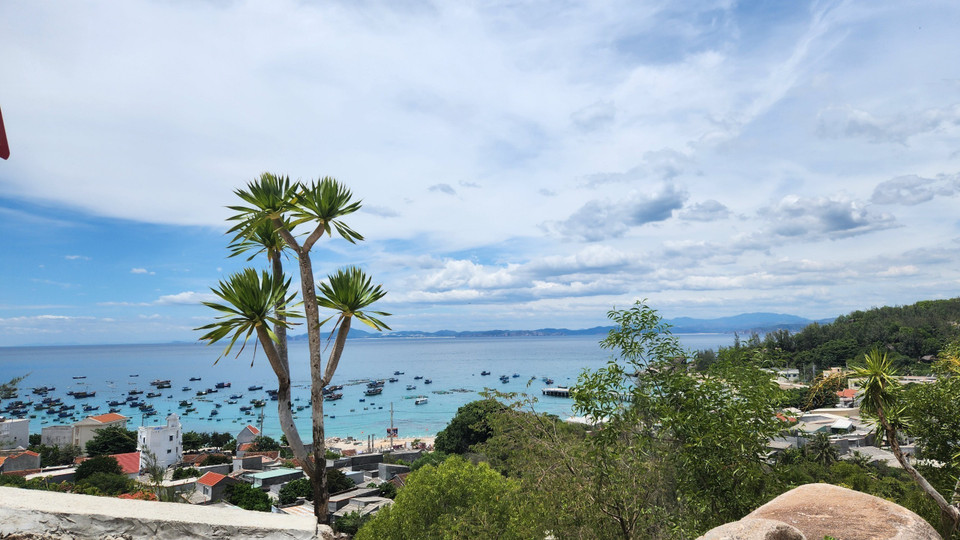 Una vista desde Cu Lao Xanh. (Foto: VNA)