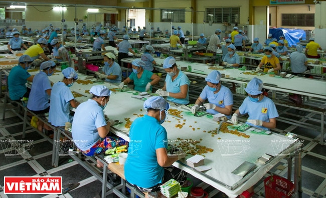 Vinh Tien es una fuente sostenible de consumo de materia prima para los cultivadores de cocotero en Ben Tre.