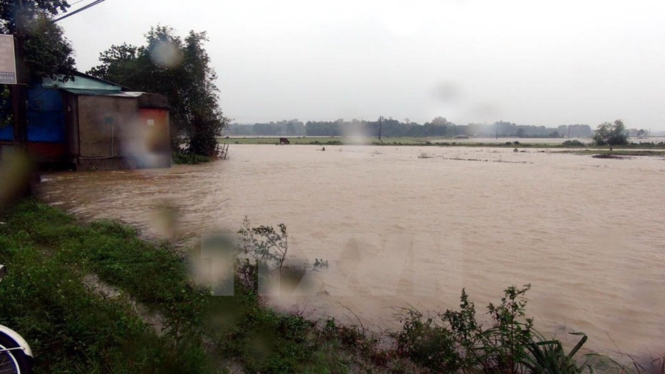La mayoría de los campos de cultivo en el distrito de Hai Lang, en la provincia de Quang Tri, han estado bajo el agua (Foto: VNA)