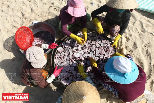  Antes de secar los mariscos, se debe limpiarlos para garantizar la higiene.