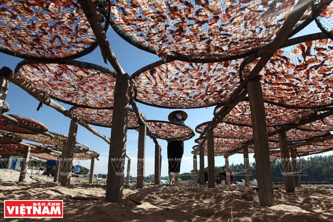  La aldea de Sa Huynh es el centro de procesamiento de mariscos de la provincia de Quang Ngai.