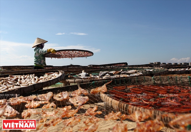  Los productos acuáticos secos de Sa Huynh son conocidos en el mercado.