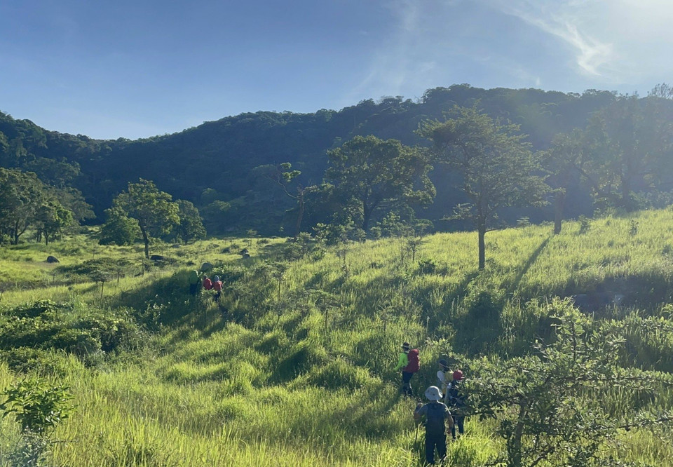 Turistas exploran el ecosistema forestal en el Parque Nacional Nui Chua, provincia de Ninh Thuan. (Foto: VNA)