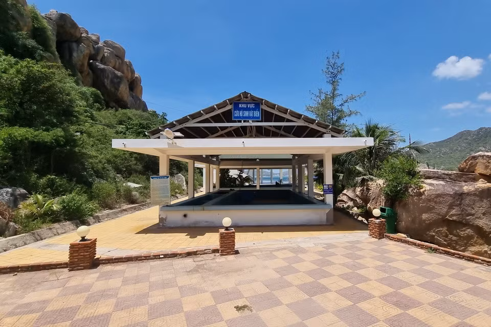 Área de rescate de la vida marina en el Parque Nacional Nui Chua, provincia de Ninh Thuan. (Foto: VNA)