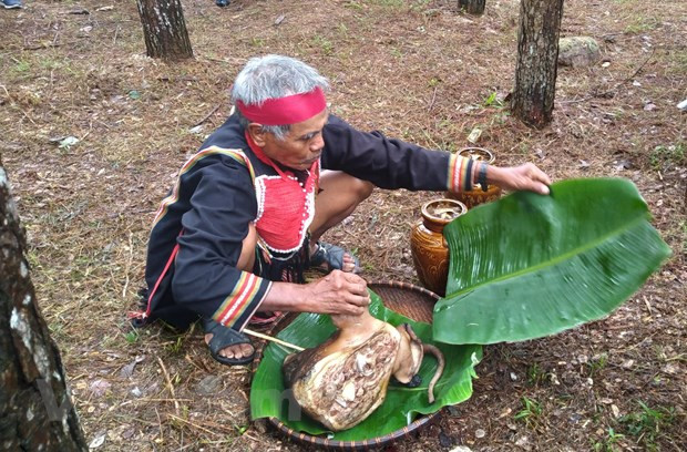 El Bo ma es el festival donde se originó la arquitectura y el arte popular de la escultura de la etnia del Tay Nguyen (Altiplanicie Central), representados por estatuas en las tumbas. Para la gente aquí, una tumba no es un monumento, sino un hogar para los muertos, que debe atender todas las necesidades en el otro mundo. Una tumba en las tierras altas centrales incluye una "casa" y una cerca circundante. La casa no solo cubre la tumba subterránea y contiene las cosas que los vivos han dado a los muertos, sino que también sirve como marco donde se colocan esculturas y dibujos decorativos coloridos, misteriosos y vívidos (Fuente: Vietnam+)