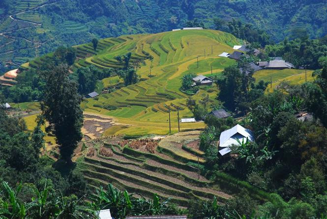 Vista de los campos arroceros en terrazas de Hoang Su Phi, en la provincia norteña de Ha Giang (Foto de VNA)