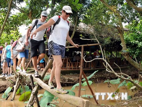 Vietnam recibió a 10 millones de turistas foráneos en 2016 (Fuente: VNA)