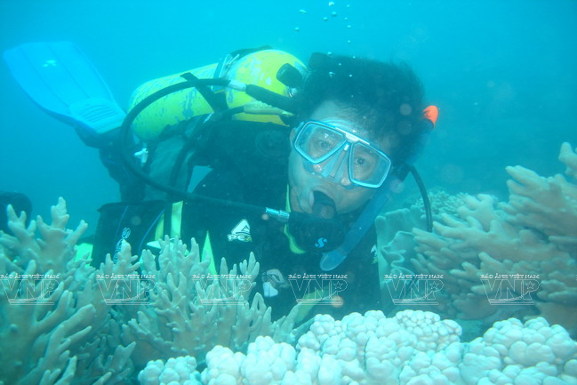 Descubriendo los arrecifes de coral (Foto: archivo del Parque Nacional de Con Dao)