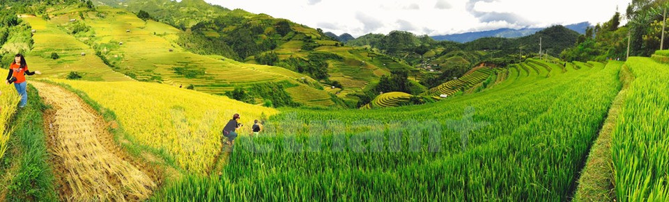 El contraste en el lugar donde se reúnen dos colores (Fuente: VNA)