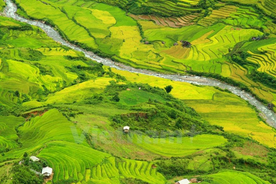 La mixtura de los colores de la naturaleza (Fuente: VNA)
