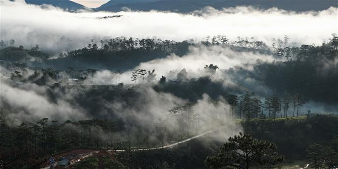 Da Lat está rodeada de bosques cubiertos de nubes y también se ha convertido en los últimos años en un producto turístico para la "caza de nubes" muy atractivo para los visitantes. (Foto: VNA)