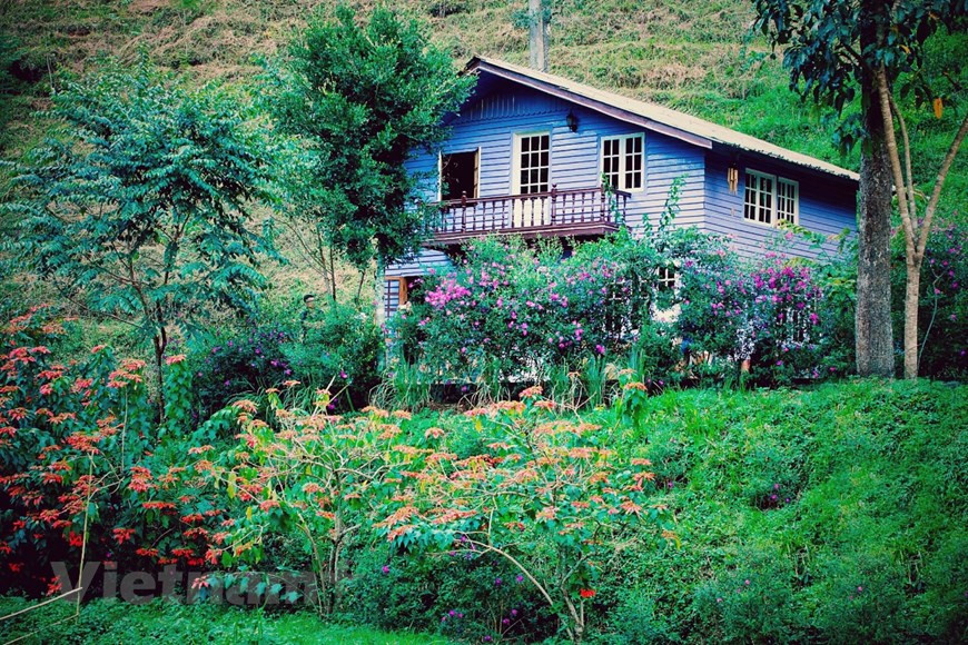 Incluso en la profundidad del bosque, las “casas de madera de hadas” están adornadas con flores coloridas. (Foto: VNA)