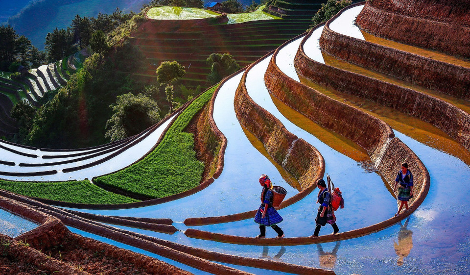 Las terrazas de arroz en Mu Cang Chai (reliquia nacional especial), provincia norteña de Yen Bai, clasificaron en la lista de los 20 destinos más atractivos del mundo y en el top 50 lugares más hermosos del planeta en 2020. (Foto: VNA)