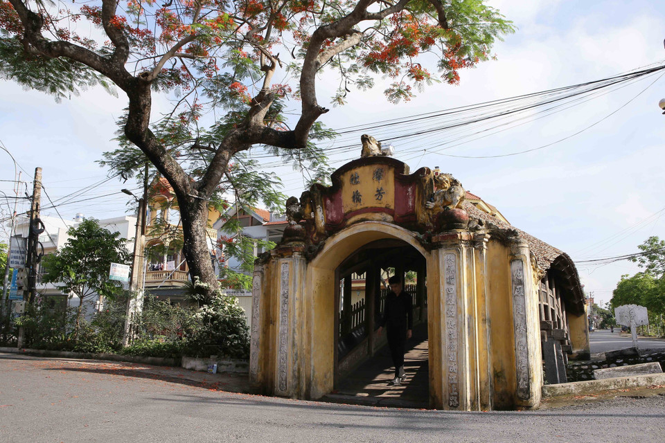 El puente tiene una arquitectura curva como la de un dragón. En verano, las flores de Framboyán refuerzan la belleza de la obra por su color rojizo. (Fuente: VNA)