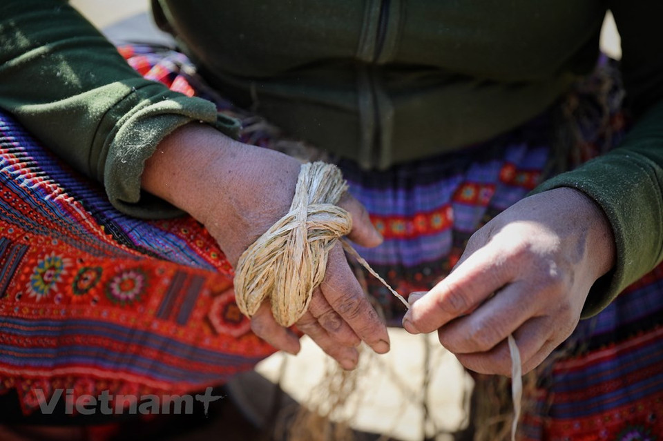 Por herencia histórica, la mayoría de las familias del pueblo de H´Mong en el distrito de Van Ho en la provincia de Son La sabe cómo trabajar o cultivar el lino. Para hacer una tela de lino deben pelar la planta seca en pequeñas piezas y luego volver a unirlas sin error; por tanto, las mujeres del grupo étnico de H´Mong aprovechan cualquier tiempo libre en este empeño, incluso en el camino desde la casa a los campos de arroz y viceversa. El trabajo de cultivar el lino no es difícil, pero tejerlo en una tela requiere bastante tiempo y esfuerzos de cada mujer de H´Mong. (Fuente:Vietnamplus)
