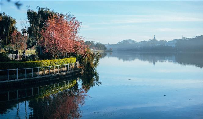 Erigido en 1919, el lago Xuan Huong fue llamado Grand Lac en aquel tiempo y para 1953 cambió al nombre de Xuan Huong, el cual no solo refleja la belleza poética de esa laguna, sino que también recuerda a la poeta Ho Xuan Huong. (Foto: VNA)