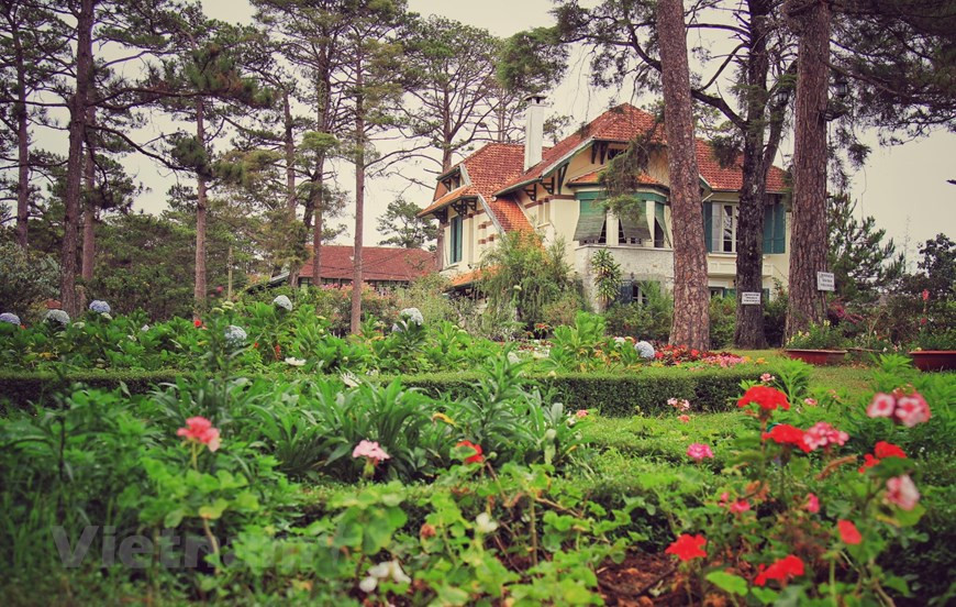 La ciudad vietnamita de Da Lat ocupa el tercer puesto entre los destinos favoritos del mundo para contemplar flores, de acuerdo con la plataforma turística Booking.com. La urbe es encantadora y hermosa, que cuenta con casas de arquitectura francesa antigua rodeadas de jardines de flores durante las cuatro estaciones. (Foto: VNA)