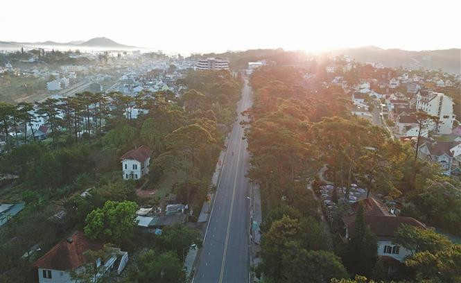 Da Lat es conocida como el paraíso de los sueños, amor, festivales y flores. En esa metrópolis se han realizado numerosas películas de amor y románticas. (Foto: VNA)