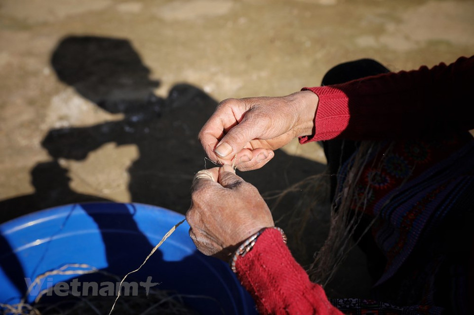 Cada mes de marzo según el calendario lunar, los habitantes de H´Mong en el distrito de Van Ho, provincia de Son La, empiezan a sembrar la planta de maíz junto con el lino, uno de los cultivos indispensables en su vida y con un gran significado también en el ideario espiritual del pueblo de H´Mong. Durante décadas, los ancianos de cada familia de la minoría étnica de Mong en la provincia norteña de Son La o en otras localidades a lo largo del país, siempre enseñaron a sus hijos y nietos a reservar un espacio de tierra fértil para el cultivo de lino. Esta conciencia se transmite de generación en generación. (Fuente:Vietnamplus)