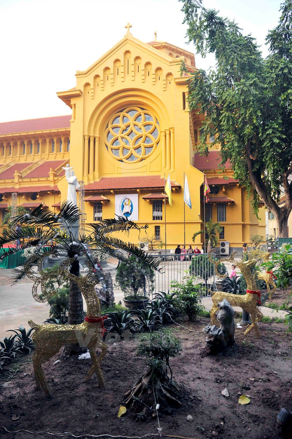 Renos en jardín del a Iglesia Cua Bac (Fuente: VNA)