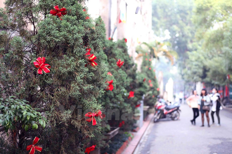 La Catedral es lugar favorito de los fieles religiosos y el público capitalino (Fuente: VNA)