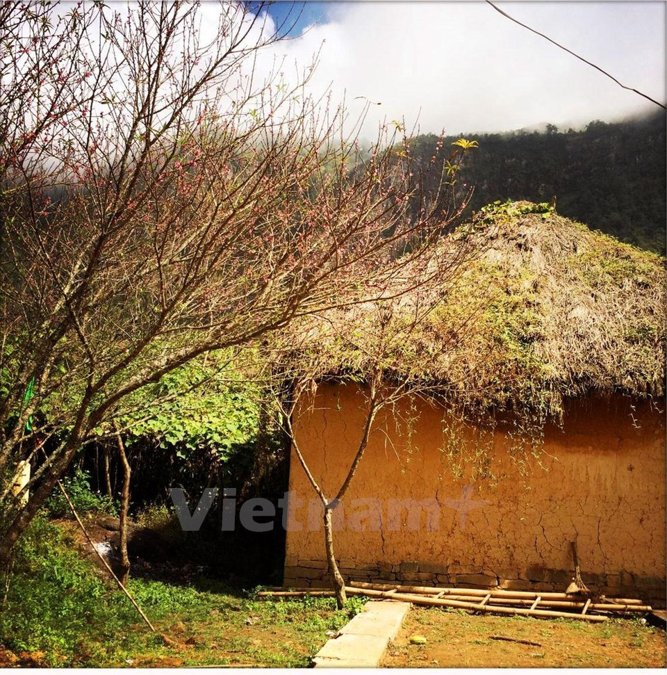 Flores abrazan las pequeñas viviendas de la comunidad minoritaria Mong.
