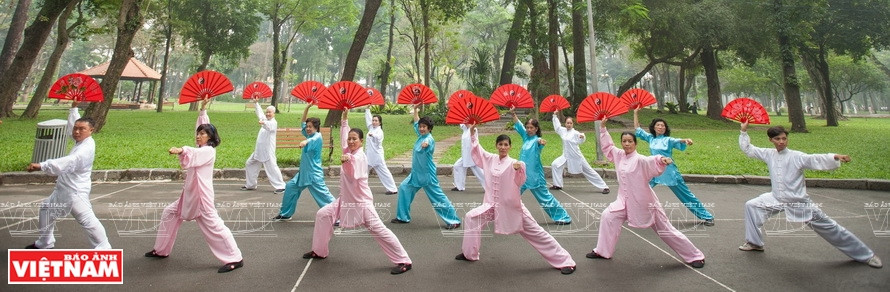 Con la práctica suave y hermosa, muchas personas mayores también combinan la práctica del tai chi con abanicos (Foto: VNA)