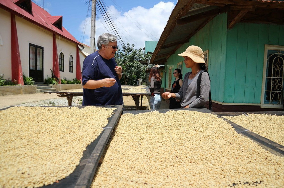 Durante los últimos años, las acerías de Da Lat se convirtieron en emergentes destinos turísticos (Fuente: VNA) 