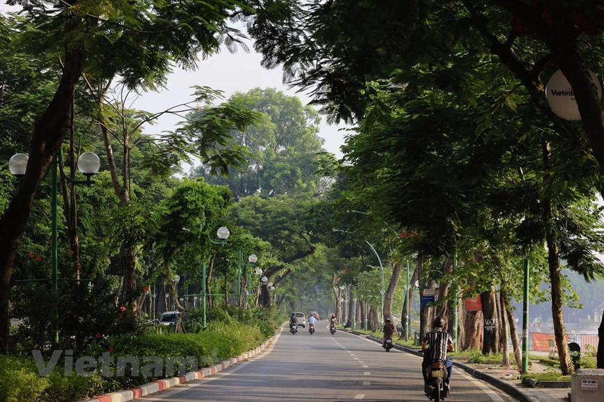 El otoño, la temporada más hermosa de Hanoi, ha llegado con un sol lánguido. Aunque no disipa el calor del verano, brinda un hálito de frescor a la capital vietnamita. En el corto periodo de transición entre estaciones, todas las personas esperan disfrutar plenamente del típico entorno poético que trae el otoño. Esta temporada se prolonga a menudo desde principios de septiembre hasta noviembre, y trae consigo su propia brisa fría. Se puede decir que el otoño en esta ciudad milenaria, con su belleza idílica, ha creado profundas emociones y conquistado a muchas generaciones de personas que poseen un apego especial a la urbe. (Foto: Vietnam+)