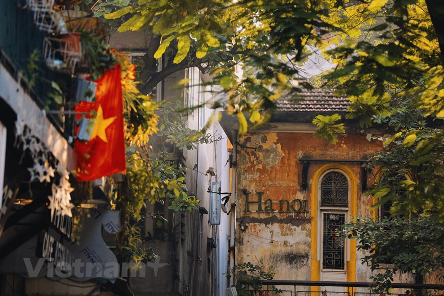 Las calles de Hanoi en el otoño se caracterizan por las imágenes de los vendedores ambulantes de flores y del Com (arroz glutinoso tierno), especialidades típicas de la localidad. Sin embargo, este año, debido a las medidas de distanciamiento social, las personas se quedan en sus casas. El ambiente bullicioso en las calles es sustituido por un entorno más tranquilo, dando una nueva apariencia a la ciudad. Los rayos tenues y agradables del sol otoñal atravesando los follajes de las plantas para iluminar las tranquilas vías callejeras y casas antiguas con arquitectura del colonialismo francés, dejan una sensación difícil de describir para los transeúntes. (Foto: Vietnam+)