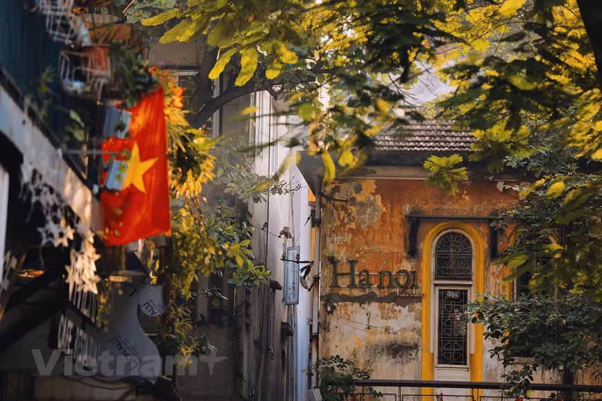 Las calles de Hanoi en el otoño se caracterizan por las imágenes de los vendedores ambulantes de flores y del Com (arroz glutinoso tierno), especialidades típicas de la localidad. Sin embargo, este año, debido a las medidas de distanciamiento social, las personas se quedan en sus casas. El ambiente bullicioso en las calles es sustituido por un entorno más tranquilo, dando una nueva apariencia a la ciudad. Los rayos tenues y agradables del sol otoñal atravesando los follajes de las plantas para iluminar las tranquilas vías callejeras y casas antiguas con arquitectura del colonialismo francés, dejan una sensación difícil de describir para los transeúntes. (Foto: Vietnam+)