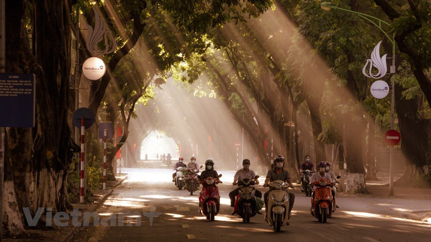 Hanoi está entrando en una de las estaciones más bonitas del año. (Foto: VNA)
