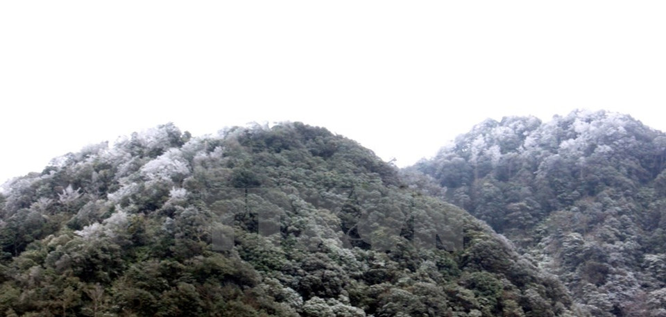 Nieves cubren montas en Cao Bang (Fuente: VNA)