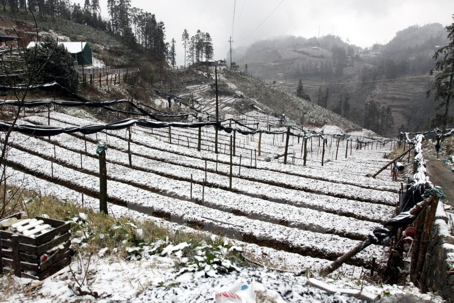 El paso montañoso O Quy Ho (Fuente: VNA)