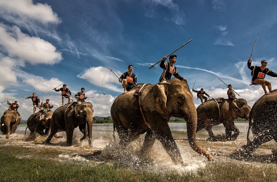 "Carrera de elefantes en el lago Lak", tercer premio (Fuente: VNA)