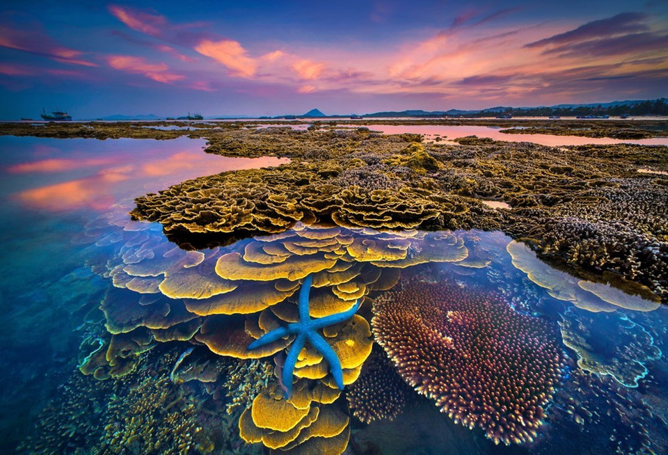 La obra "Colores del mar" gana el máximo premio (Fuente: VNA)