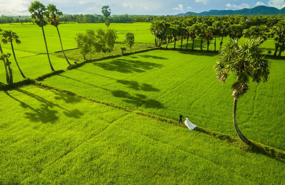 "Temporada de boda" gana el premio de consolación (Fuente: VNA)