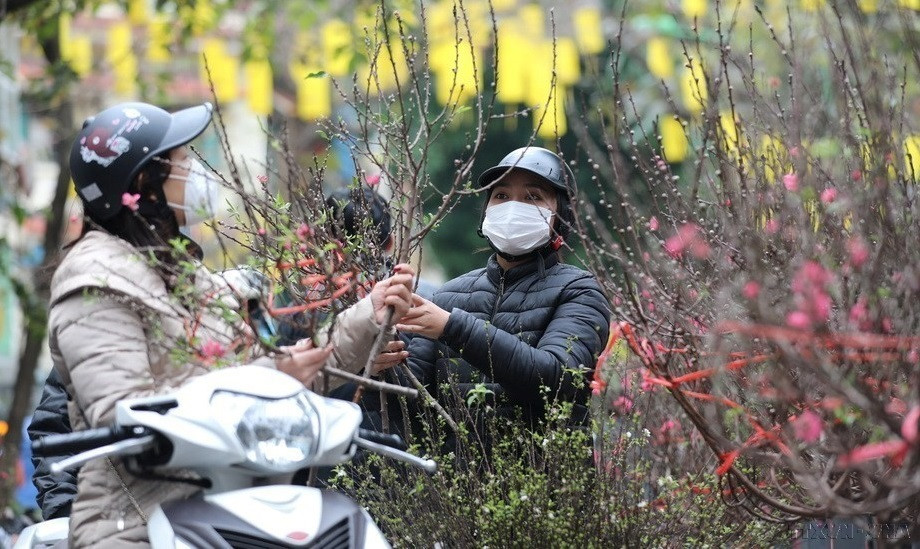 La gente compra en el mercado de flores Hang Luoc (Hanoi) en el Año Nuevo Lunar. (Foto: VNA)