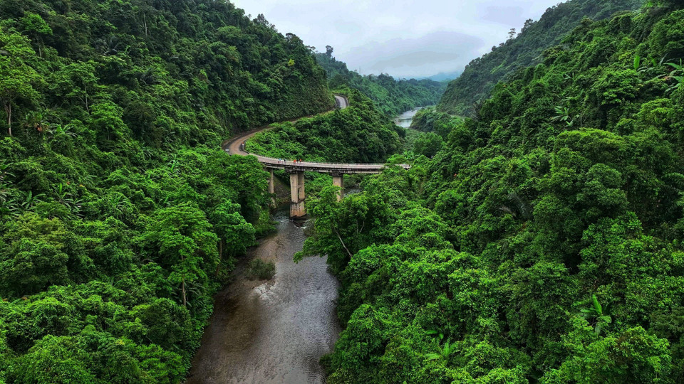 El puente tibetano se encuentra en la ruta Ho Chi Minh que pasa por la Reserva Natural Dong Chau - Khe Nuoc Trong (Foto: VNA)