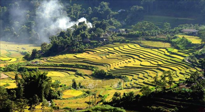Terrazas arroceras de Ta Leng (Fuente: VNA)