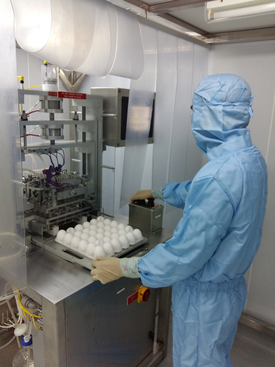  Expertos estudian huevos de gallina con embriones para producir la vacuna (Fuente: VNA)