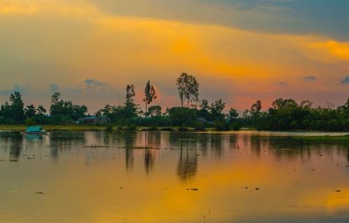 Campos inundados a finales de la temporada flotante en el distrito de Vi Thuy, en la provincia de Hau Giang (Fuente: VNA)